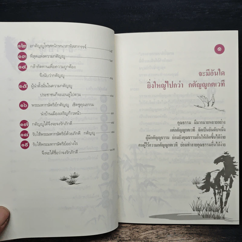 ปรัชญาขงจื้อ กตัญญูธรรมคู่ฟ้าดิน - จงเฉิง รูปที่ 8