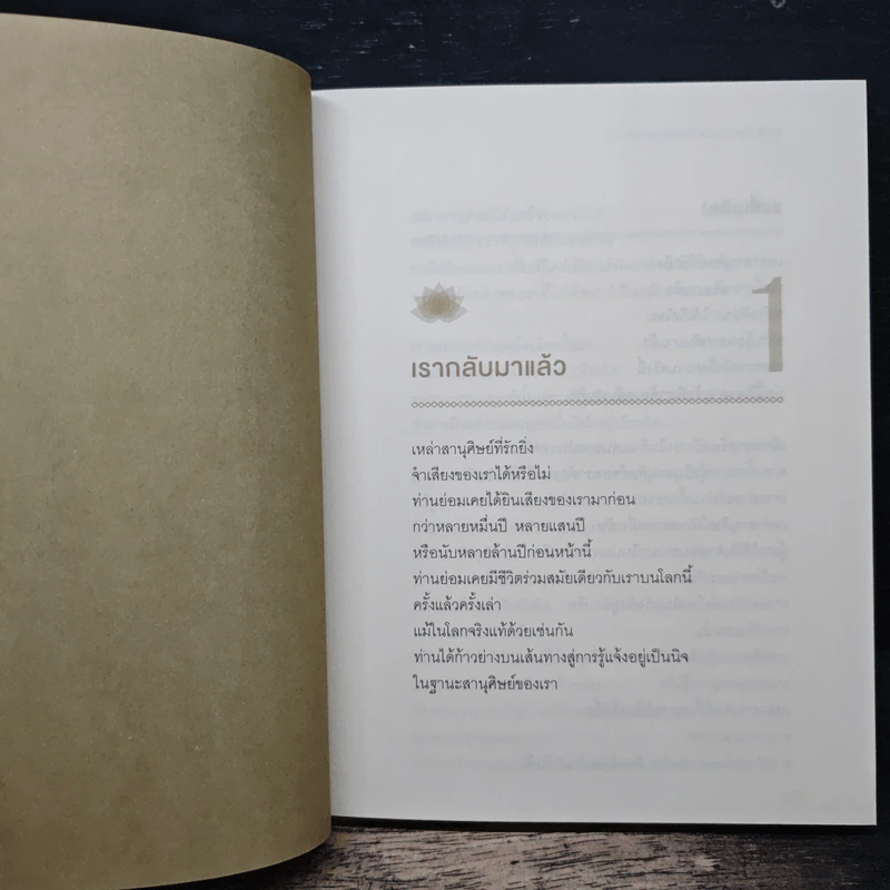 พระพุทธองค์กลับมาแล้ว - ริวโฮ โอคาวา รูปที่ 8