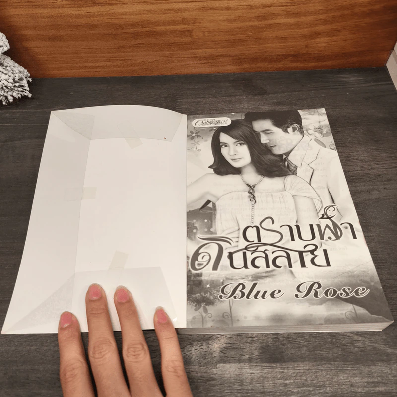 ตราบฟ้าดินสลาย - Blue Rose รูปที่ 6
