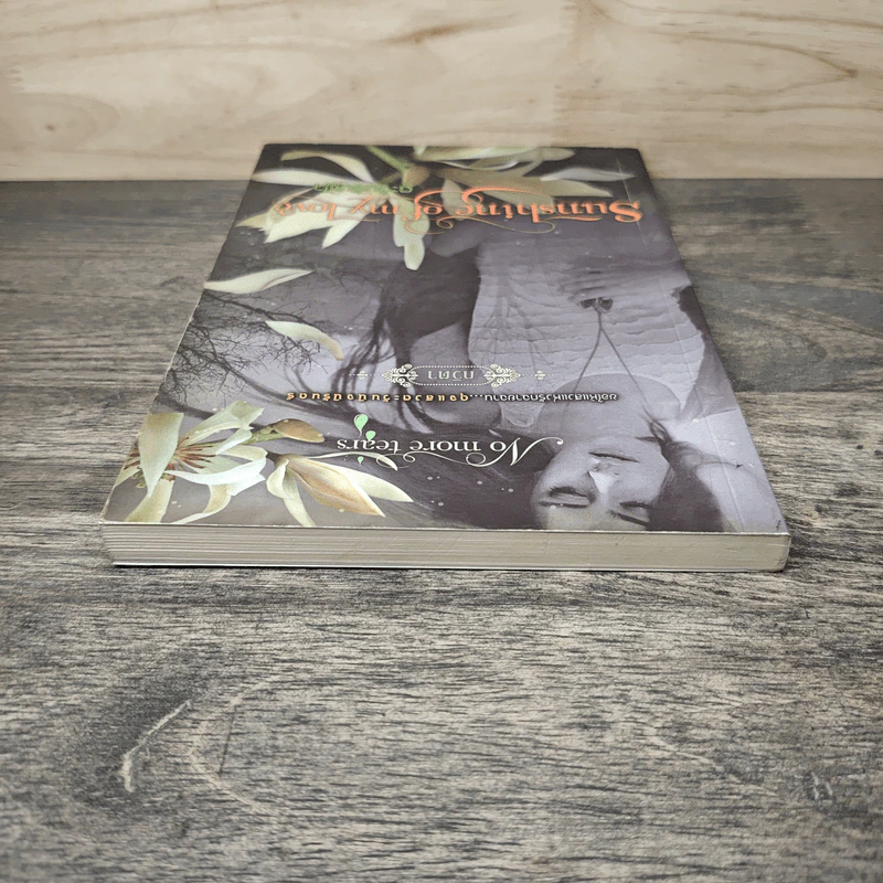 Sunshine of my Love ตะวันจับฟ้า - กวีตา รูปที่ 4