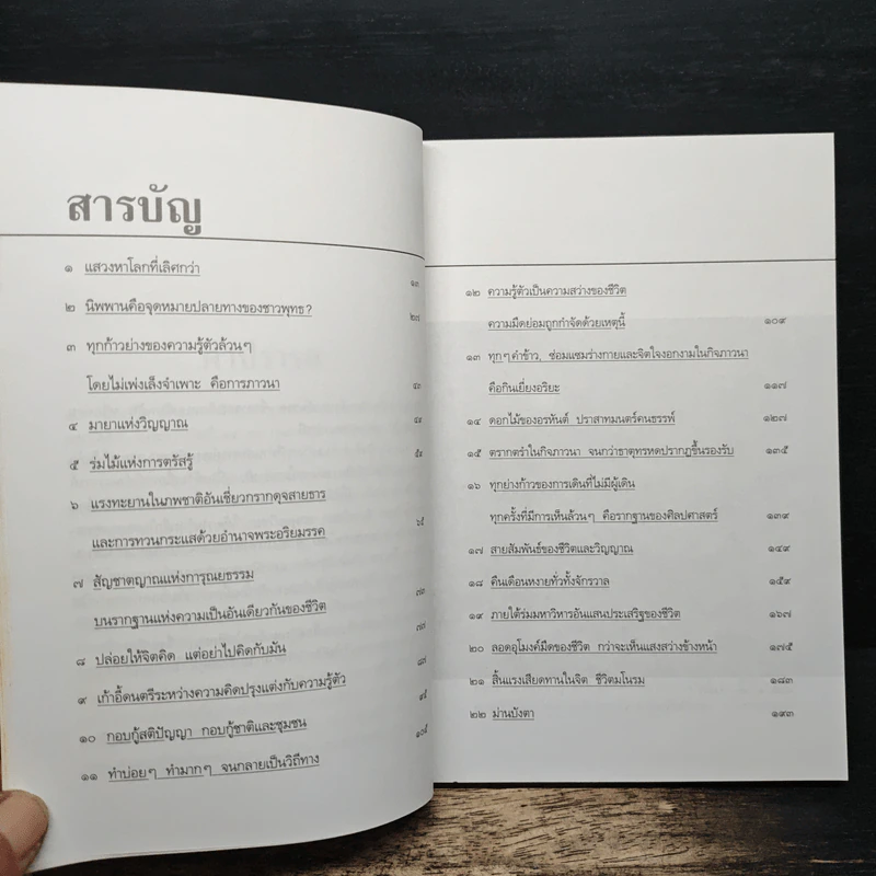 ดวงตาแห่งชีวิต - เขมานันทะ รูปที่ 7