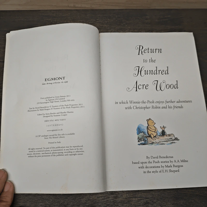 Return to the Hundred Acre Wood รูปที่ 6