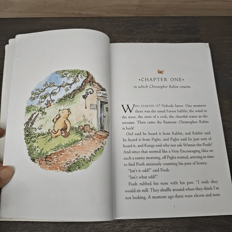 Return to the Hundred Acre Wood รูปที่ 7