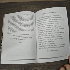 Practicing Insight on Your Own - Thawee Baladhammo รูปที่ 9