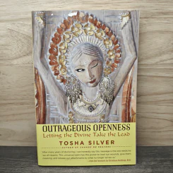 Outrageous Openness - Tosha Silver