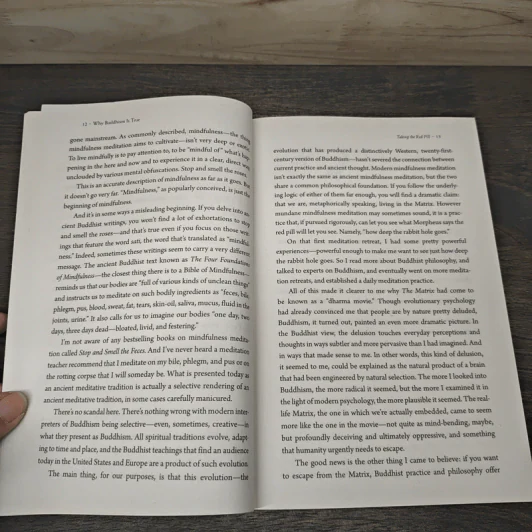 Why Buddhism is True : The Science and Philosophy of Meditation and Enlightenment - Robert Wright รูปที่ 7