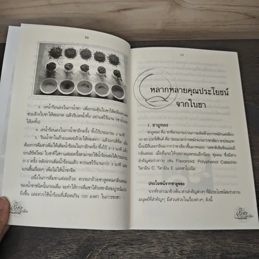 จิบน้ำชาฆ่ากระจายมะเร็ง เร่งลดเบาหวาน - นพ.ปัญญา ไพศาลอนันต์ รูปที่ 8