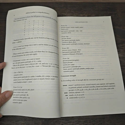 A Pali Grammar for Students - Steven Collins รูปที่ 9