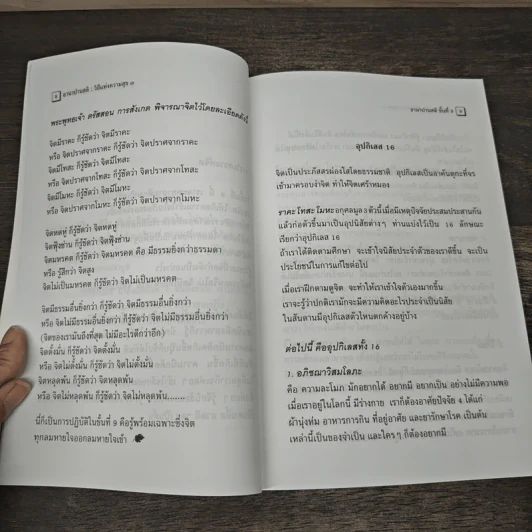 อานาปานสติ : วิถีแห่งความสุข 3 อานาปานสติ ขั้นที่ 9-16 - พระอาจารย์มิตซูโอะ คเวสโก รูปที่ 9
