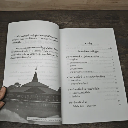 อานาปานสติ : วิถีแห่งความสุข 3 อานาปานสติ ขั้นที่ 9-16 - พระอาจารย์มิตซูโอะ คเวสโก รูปที่ 7