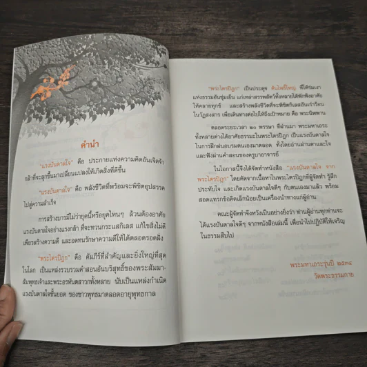 แรงบันดาลใจ จากพระไตรปิฏก - พระมหาเถระ รุ่นปี 2534 รูปที่ 7