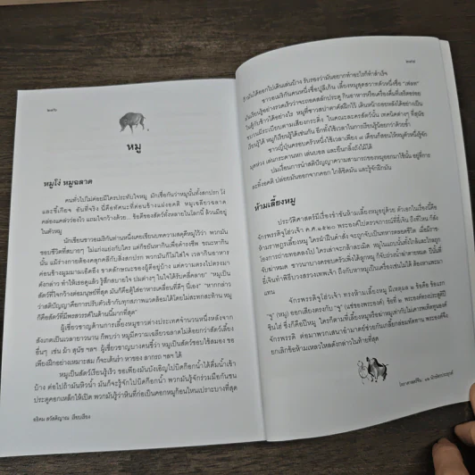 โหราศาสตร์จีน 12 นักษัตรประยุกต์ - อธิคม สวัสดิญาณ รูปที่ 9