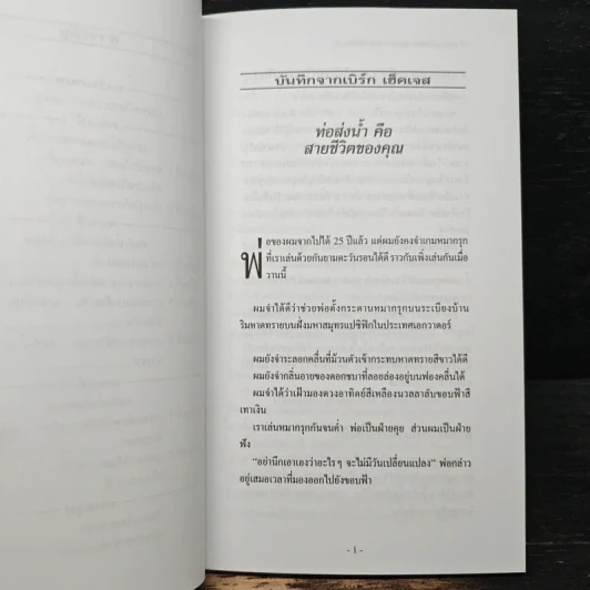 เงินทองไหลมาเทมา (ตามท่อ) - เบิร์ก เฮ็ดเจส รูปที่ 8