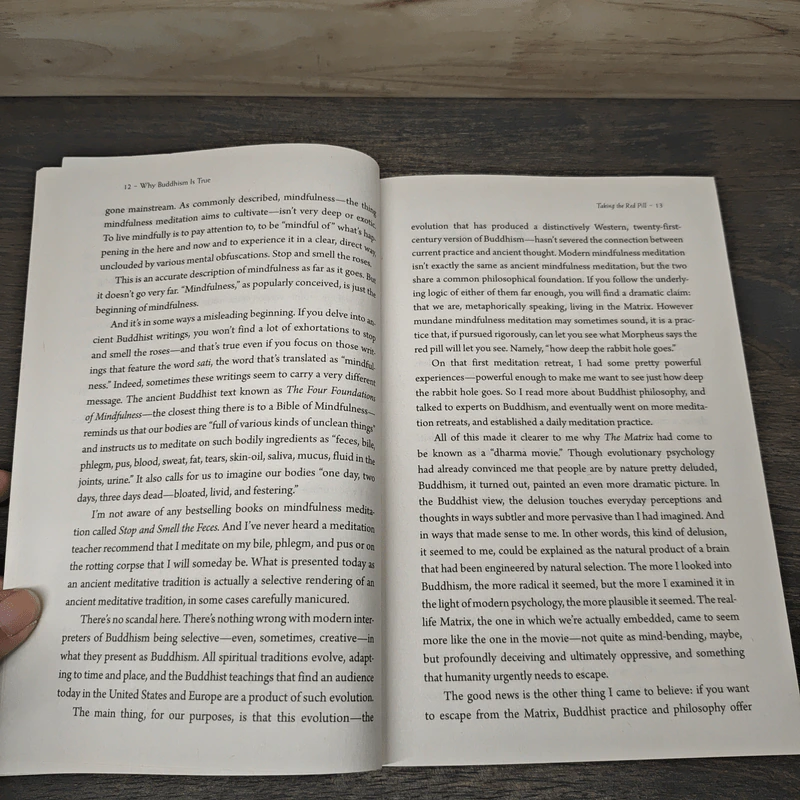 Why Buddhism is True : The Science and Philosophy of Meditation and Enlightenment - Robert Wright รูปที่ 7