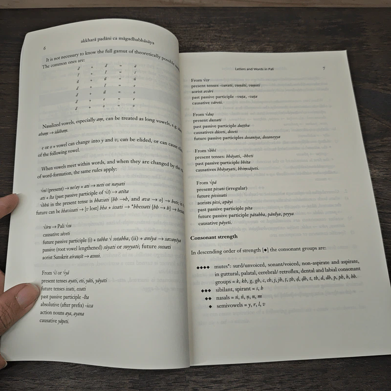 A Pali Grammar for Students - Steven Collins รูปที่ 9