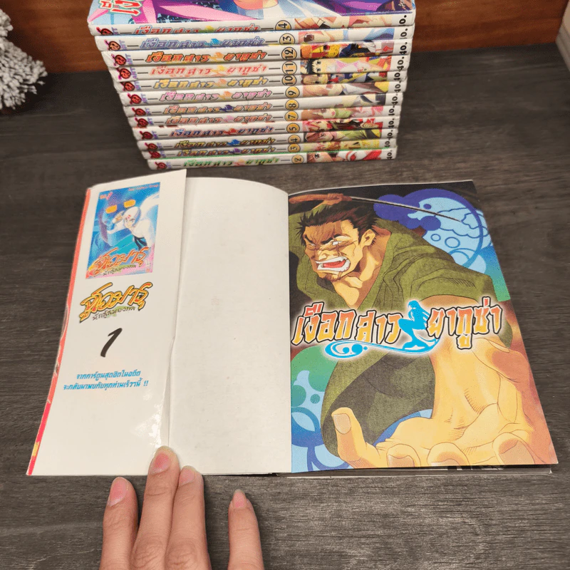 เงือกสาวยากูซ่า เล่ม 1-5,7-14 รูปที่ 6
