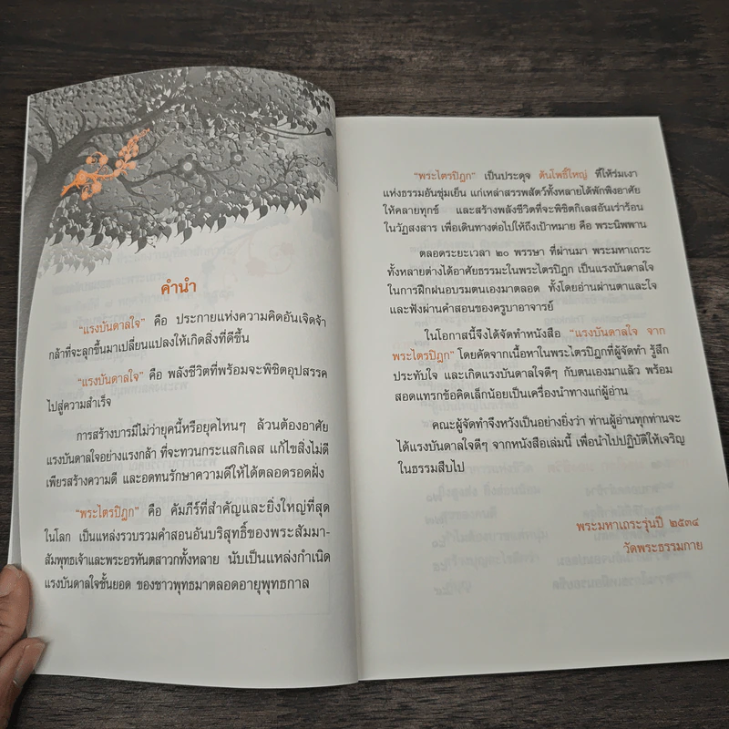 แรงบันดาลใจ จากพระไตรปิฏก - พระมหาเถระ รุ่นปี 2534 รูปที่ 7