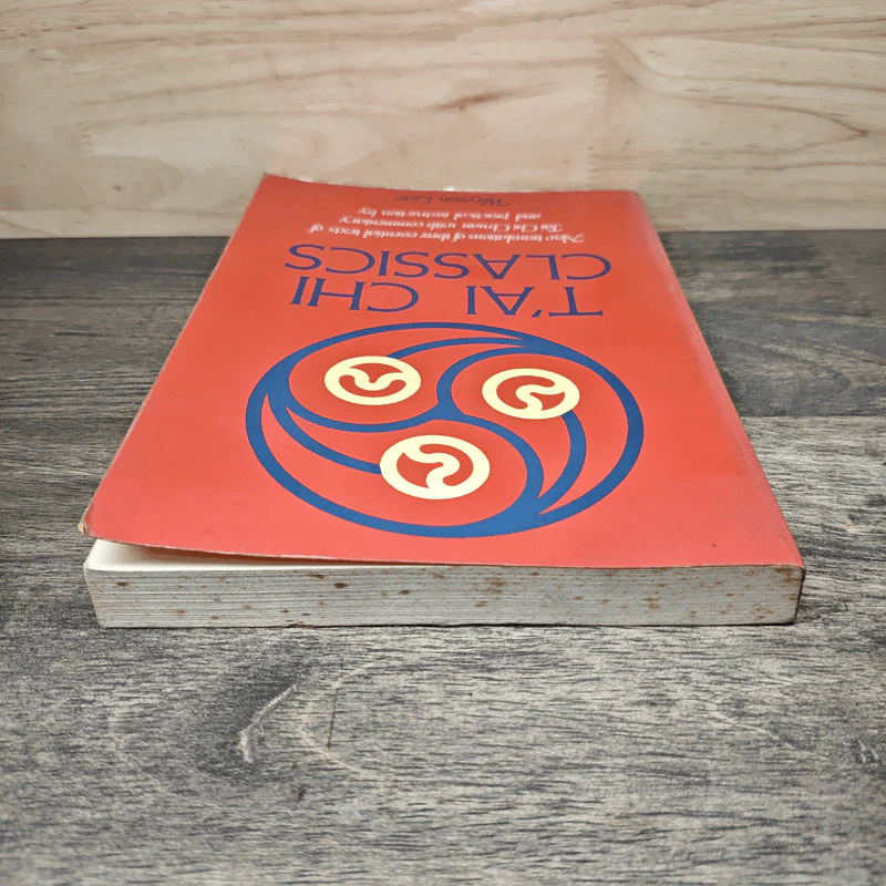 T'ai Chi Classics - Waysun Liao รูปที่ 4