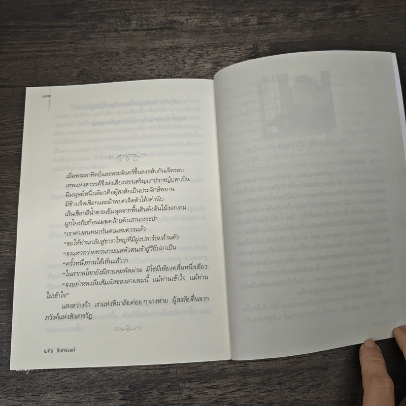 วิถีปลาเป็น แด่ผู้รอดชีวิตในสังสารวัฏ - พศิน อินทรวงค์ รูปที่ 9