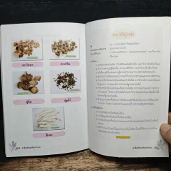 ยาจีนกับพลังปราณ - รศ.ดร.นพ.ศุภนิมิต ทีฆชุณหเถียร รูปที่ 11