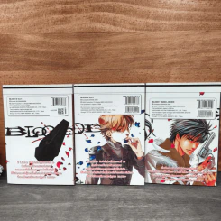 Blood+ บลัดพลัส อาดาจิโอ 2 เล่มจบ + เล่มพิเศษ ภาคอัศวินแห่งรัตติกาล รูปที่ 2