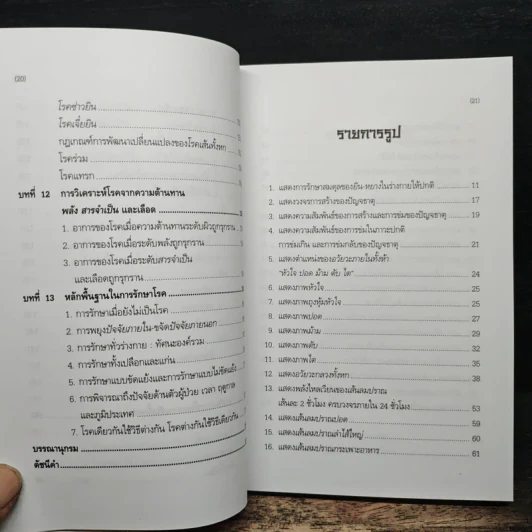 ทฤษฎีแพทย์จีน - วิทิต วัณนาวิบูล รูปที่ 11