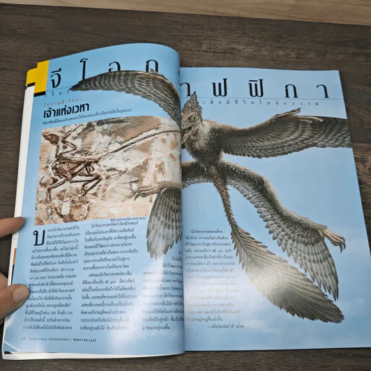 National Geographic พ.ค.2546 50 ปี หลังการพิชิตเอเวอเรสต์ รูปที่ 8