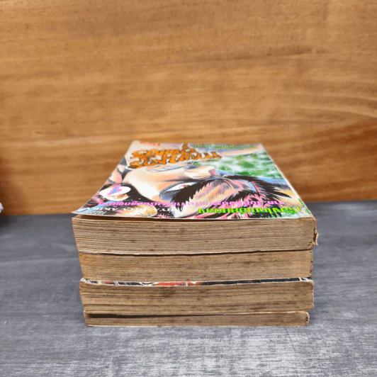 เทพบุตรสุดเฮ้ว เล่ม 1-4 รูปที่ 6