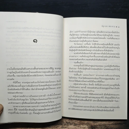 บงการสิเน่หา - ณัฐกฤตา (ฟองฟาง) รูปที่ 8