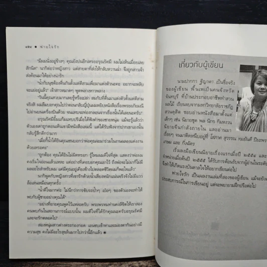 พ่ายใจรัก - ฐิญาดา รูปที่ 9