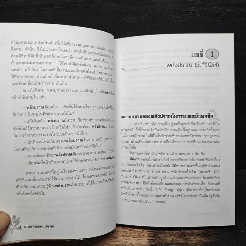 ยาจีนกับพลังปราณ - รศ.ดร.นพ.ศุภนิมิต ทีฆชุณหเถียร รูปที่ 10