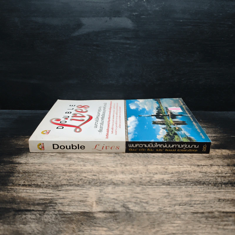Double Lives พบความยิ่งใหญ่บนทางคู่ขนาน - เดวิด ซีนิน รูปที่ 3