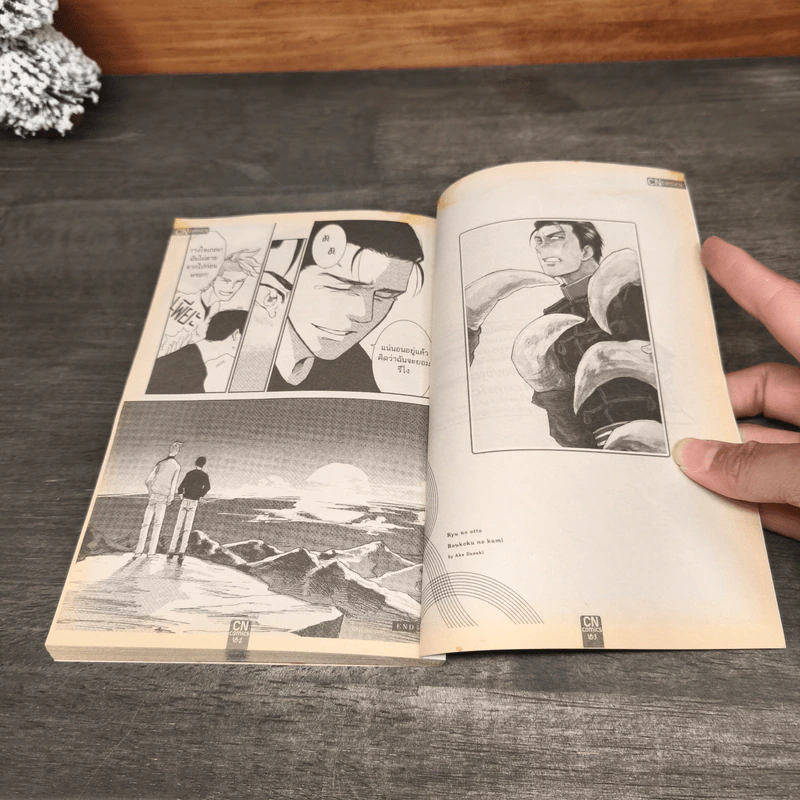 วิวาห์มังกร เทพแห่งประเทศที่ล่มสลาย - AKE SUSAKI รูปที่ 7