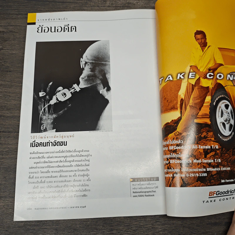 National Geographic เม.ย.2546 ต้นกำเนิดสัตว์เลี้ยงลูกด้วยนม รูปที่ 9