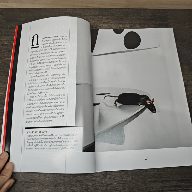 National Geographic ปีที่ 23 ฉบับที่ 275 มิ.ย.2567 รูปที่ 8