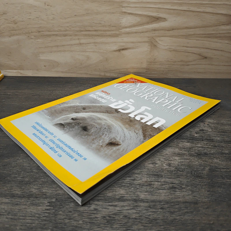 National Geographic ก.พ.2547 หมีขาว พยัคฆ์ร้ายแห่งแดนขั้วโลก รูปที่ 3