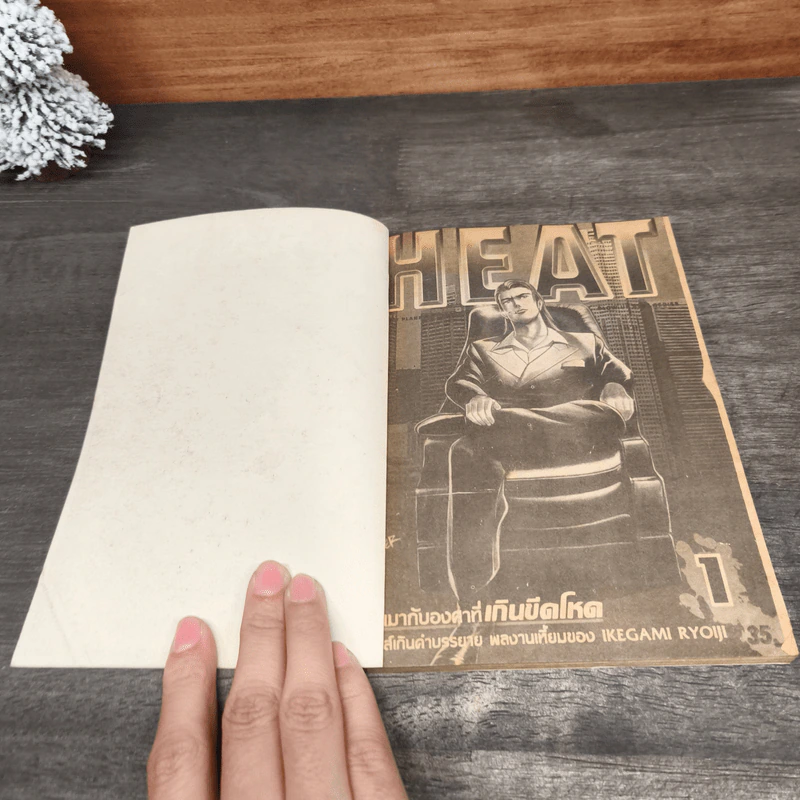 HEAT เล่ม 1-2 รูปที่ 6