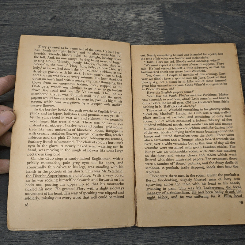 Burmese Days - George Orwell รูปที่ 6
