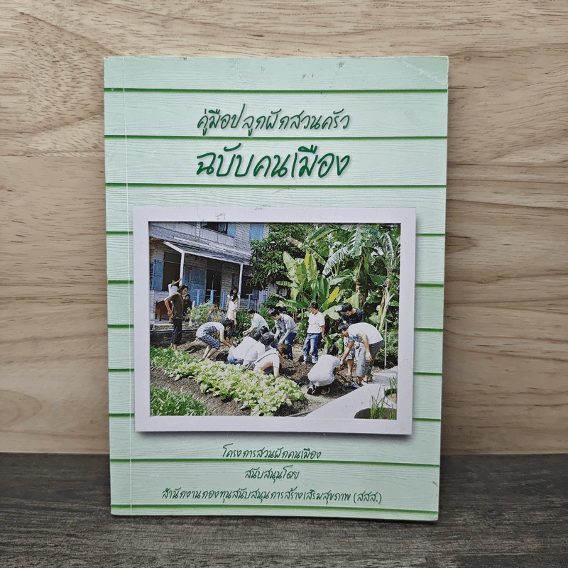 คู่มือปลูกผักสวนครัวฉบับคนเมือง รูปที่ 1