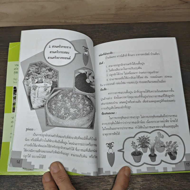 คู่มือปลูกผักสวนครัวฉบับคนเมือง รูปที่ 7