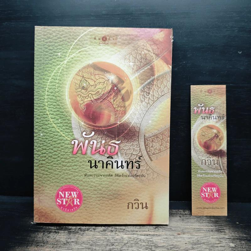 พันธนาคินทร์ - กวิน รูปที่ 1