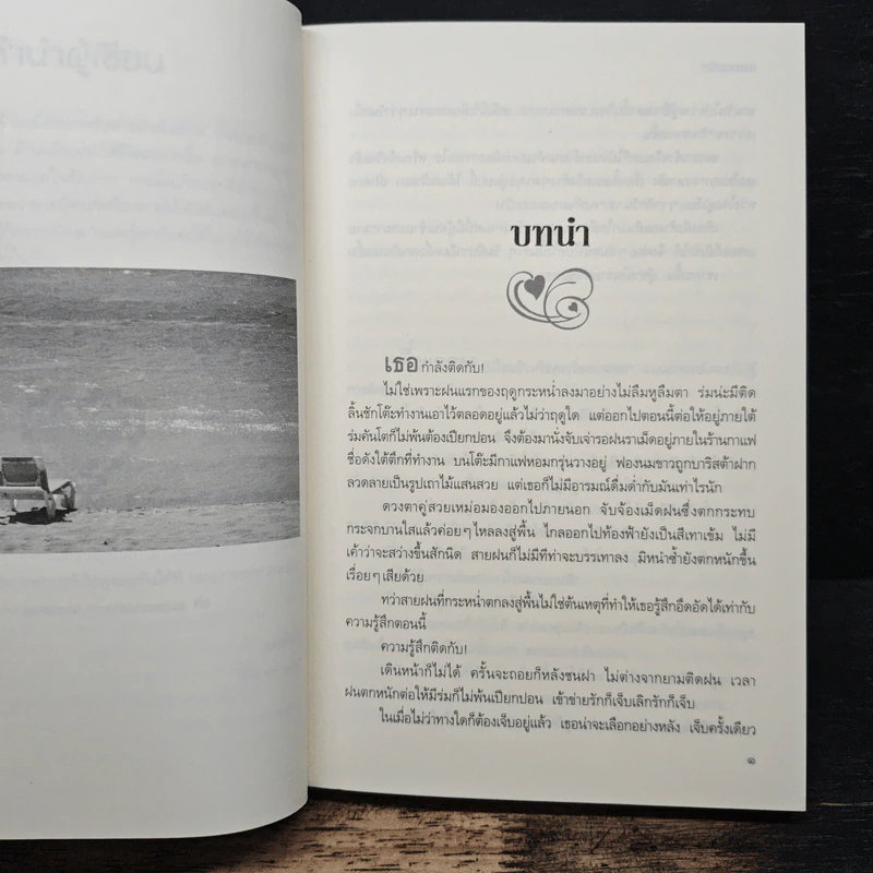 ใต้ละอองรัก - เนตรนภัส รูปที่ 7
