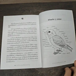 นกในวรรณคดีของสุนทรภู่ - สุธี ศุภรัฐวิกร รูปที่ 9