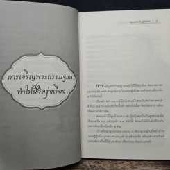 หนี้กรรมข้ามชาติ - พระธรรมสิงหบุราจารย์ รูปที่ 8