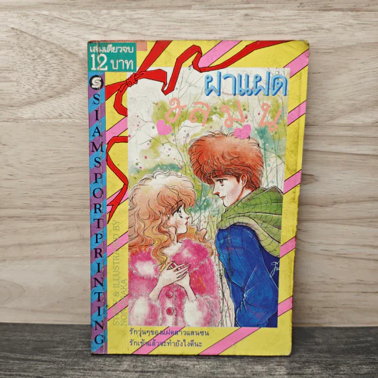 ฝาแฝดชุลมุน รูปที่ 1