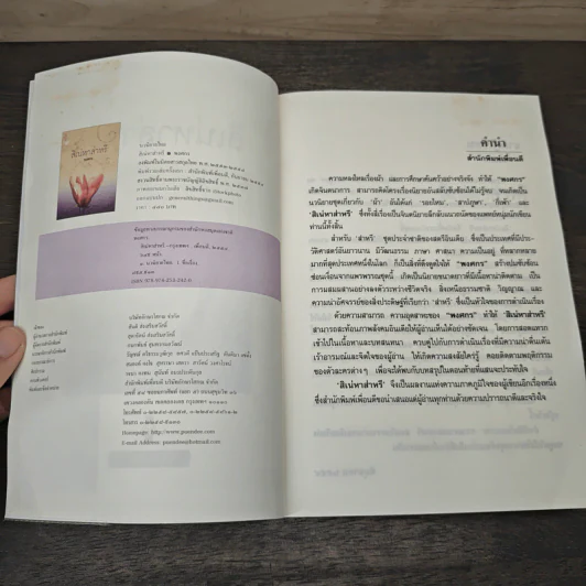 สิเน่หาส่าหรี - พงศกร รูปที่ 6