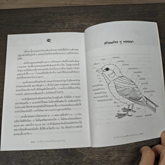 นกในวรรณคดีของสุนทรภู่ - สุธี ศุภรัฐวิกร รูปที่ 9