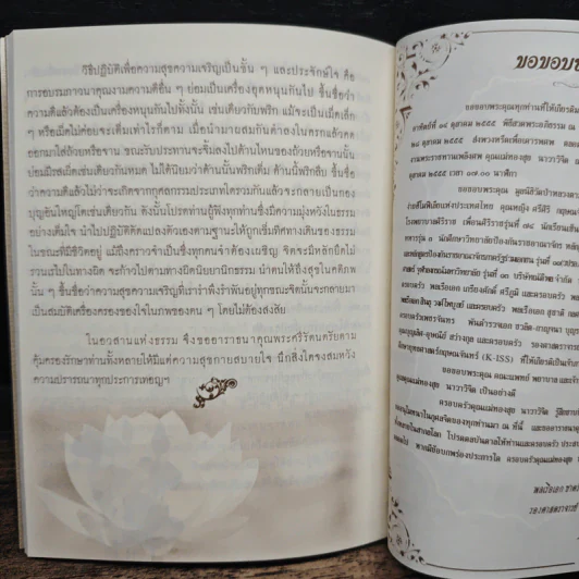 แม่ หน้าที่อันยิ่งใหญ่ รูปที่ 8