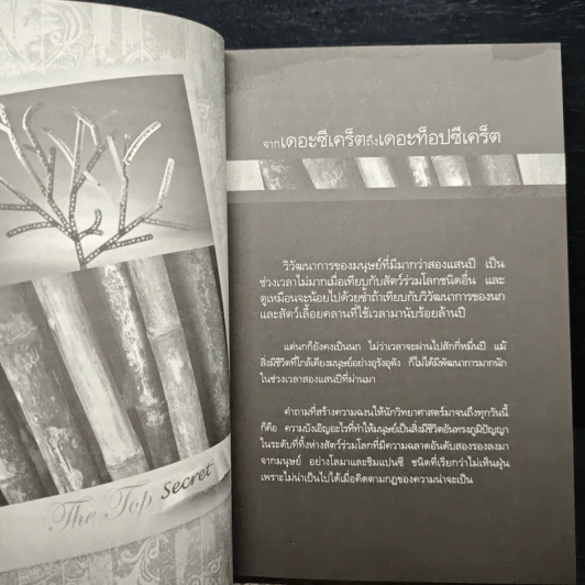 The Top Secret เดอะท็อปซีเคร็ต - ทันตแพทย์สม สุจีรา รูปที่ 8