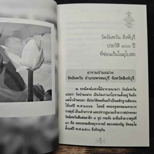 ย้อนอดีตมาแก้กรรม - พระธรรมสิงหบุราจารย์ รูปที่ 8